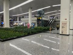 -石家庄正定国际机场-T2航站楼