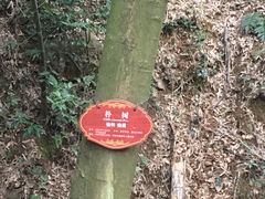 -黄公望隐居地