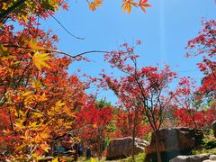 -广州市帽峰山景区