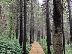 -白草畔自然风景区