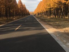 -塞罕坝国家级自然保护区