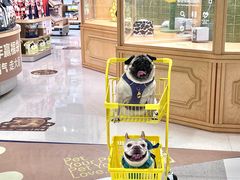 -帕帕拉兹宠物(亚洲旗舰店)