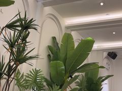 -Mezomd曼索蒂西班牙餐厅(广粤店)