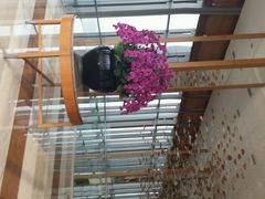 -视界美食自助餐厅·石家庄希尔顿酒店