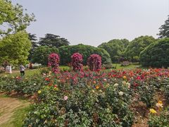 -上海滨江森林公园