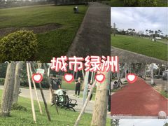 -万绿园