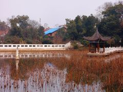 -青龙山国家森林公园