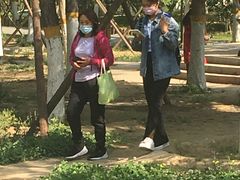 -回龙观体育文化公园