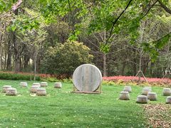 -昆山城市生态森林公园