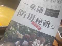 -一朵菌·野生菌探索家火锅(南亚店)