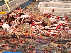 -一方渔歌蒸汽海鲜自助(文化路万达广场店)