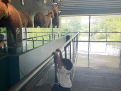 -中国湿地博物馆