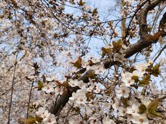 -西安汉城湖景区