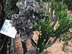 -兰陵国家农业公园