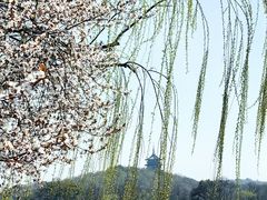 -西湖外事游船(花港观鱼码头)