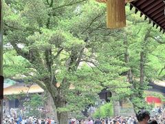 -普陀山慧济禅寺