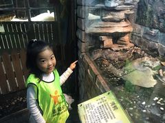 -上海大自然野生昆虫馆(东方明珠·爬宠昆虫探索中心)