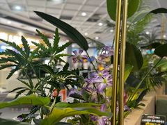 -Aqua Oasis 水天堂(常熟永旺店)