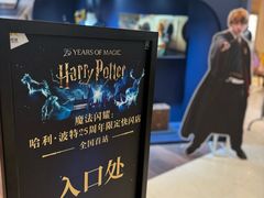 -上海静安大悦城