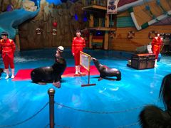 -烟台海昌鲸鲨海洋公园