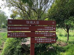 -鹅湖玫瑰文化园