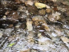 景点-峨眉山风景名胜区