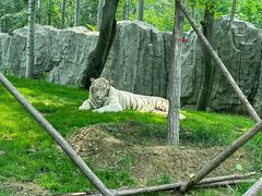 -北京野生动物园