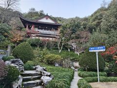 -十八棵（老龙井）御茶园(老龙井店)