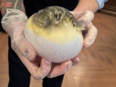 -肆月河豚·新淮扬(金融街店)