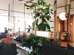 大堂-Bracket Coffee(工体店)