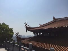 -金鸡山公园