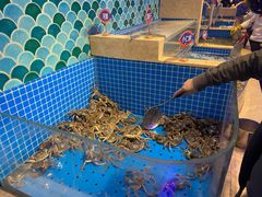 -乔哥铭洋海鲜自助(皇城恒隆广场店)