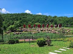 -金龙寺国家森林公园