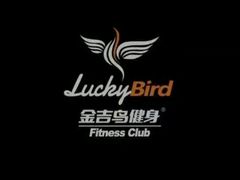 -金吉鸟健身游泳