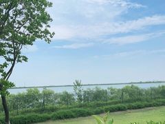 -江滩湿地公园
