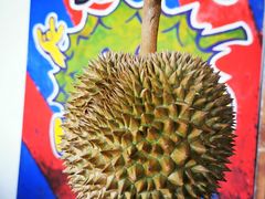 -槟城宝盛园民宿