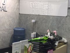 -美联众合动物医院(·中兽医·疑难杂症·严家桥分院)