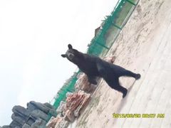 -鄂尔多斯野生动物园