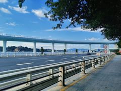 -演武大桥观景平台