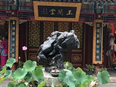-白家大院·王府宫廷菜(苏州街店)
