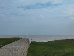 -南汇嘴观海公园