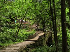 -凤栖山