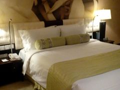 -国家会议中心大酒店