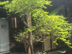 -院子餐厅·大锅菜·老杭帮(桥西直街店)
