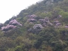 -石峰公园
