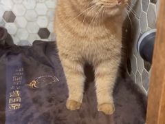 -宠爱国际动物医院·消化内科·心肾内科·ISFM猫友好(望京店)