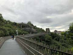 -福道