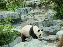 -宁波野生动物园