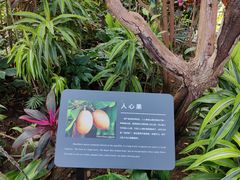 -北京植物园-展览温室