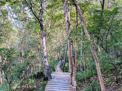 -白草畔自然风景区